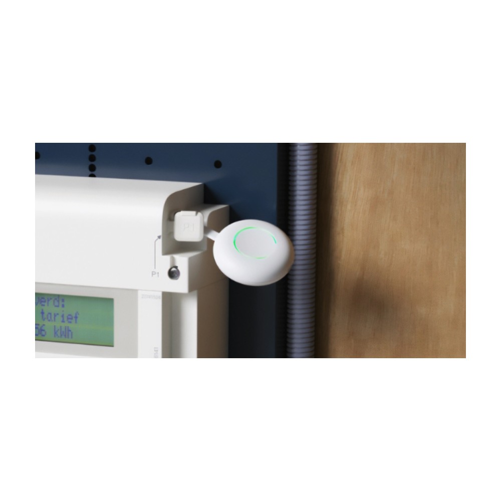 Teltonika P1 Energy Meter — vaizdas 3 — dinaminis galios valdiklis